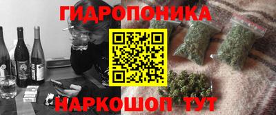 мдпв Кандалакша