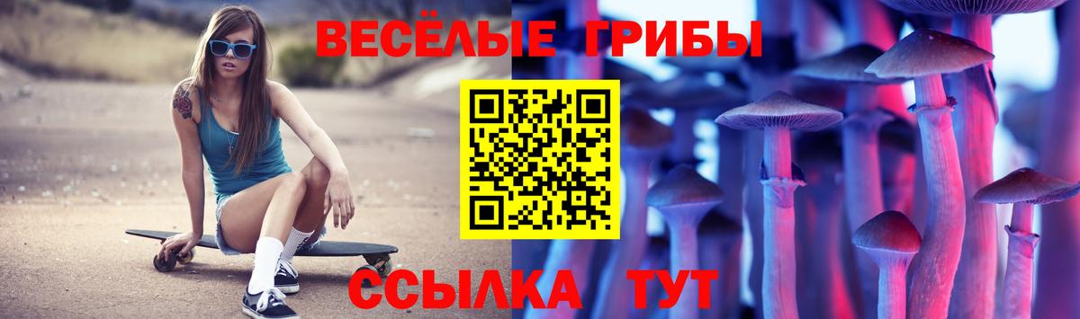 Галлюциногенные грибы GOLDEN TEACHER  где продают   Псилоцибиновые грибы ЛСД  Домодедово  Вход с VPN 